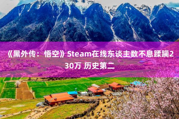 《黑外传：悟空》Steam在线东谈主数不息蹂躏230万 历史第二