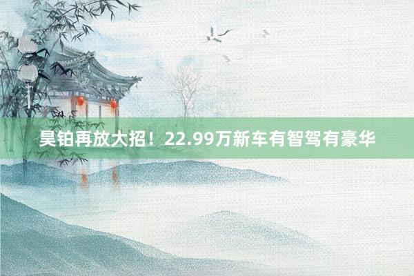 昊铂再放大招！22.99万新车有智驾有豪华