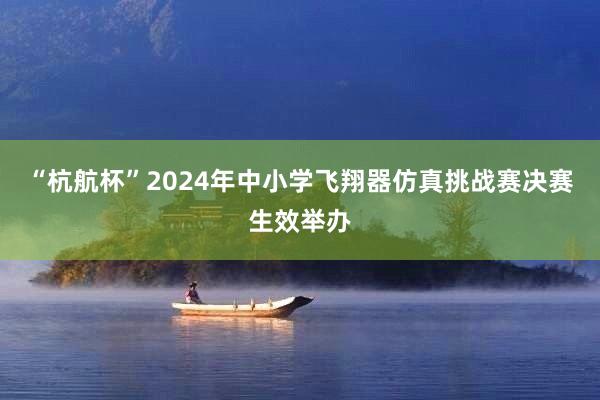 “杭航杯”2024年中小学飞翔器仿真挑战赛决赛生效举办